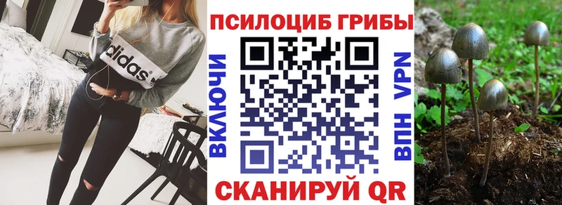 Псилоцибиновые грибы ЛСД  где можно купить наркотик  Осташков 